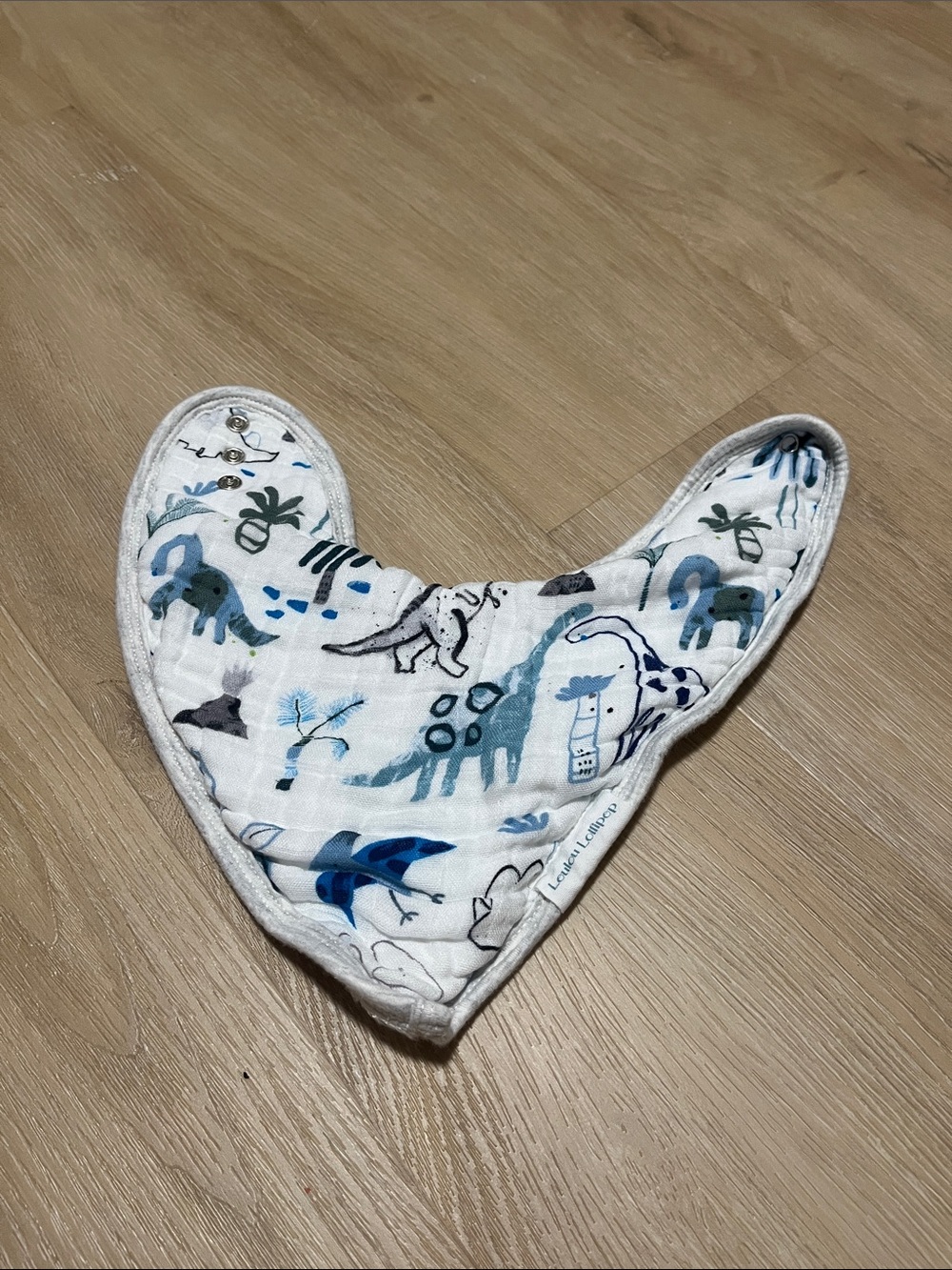 Loulou lollipop Dinosaur Bob Baby Infant